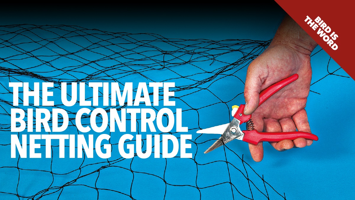 The ultimate bird control netting guide The ultimate bird control netting guide